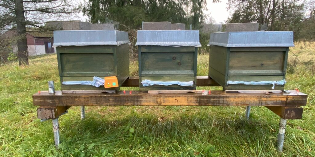 Ableger bei der Behandlung der Bienen gegen die Varroamilbe