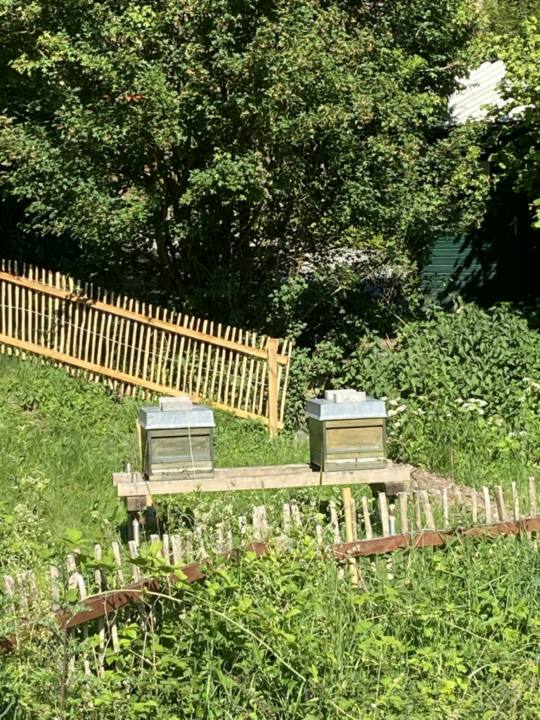 Bienenstand im Wildpark mit Holzbeuten und naturnaher Umgebung